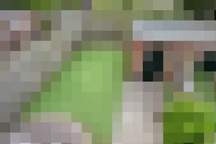 Marelaan 28 Oegstgeest thumbnail 36
