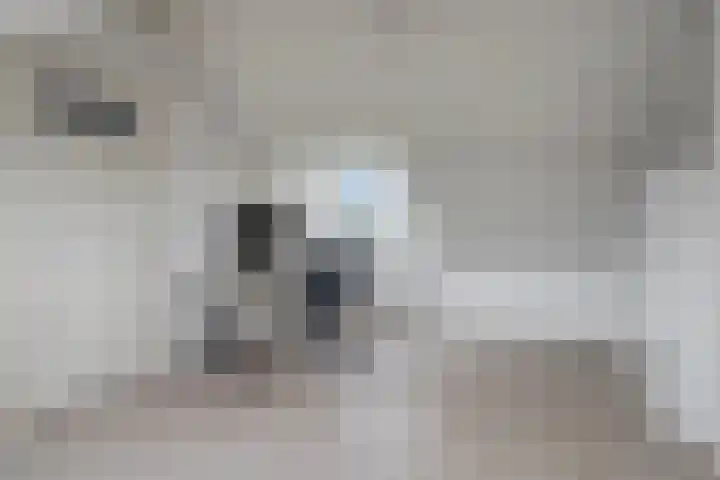 Marelaan 28 Oegstgeest thumbnail 39