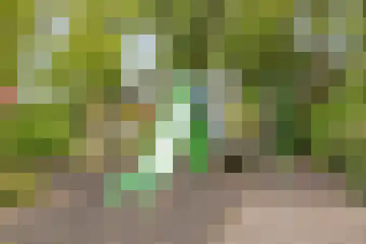 Marelaan 28 Oegstgeest thumbnail 43