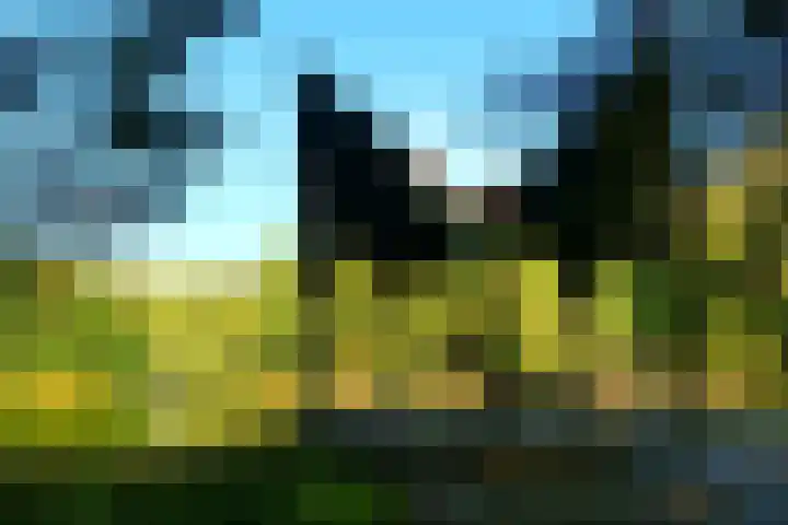 Marelaan 28 Oegstgeest thumbnail 46