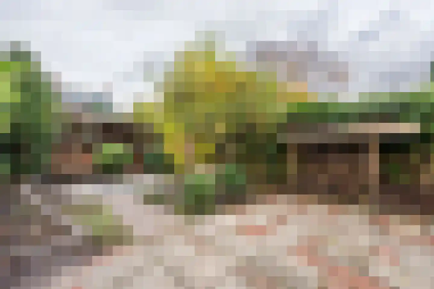 Marelaan 33 Oegstgeest thumbnail 23