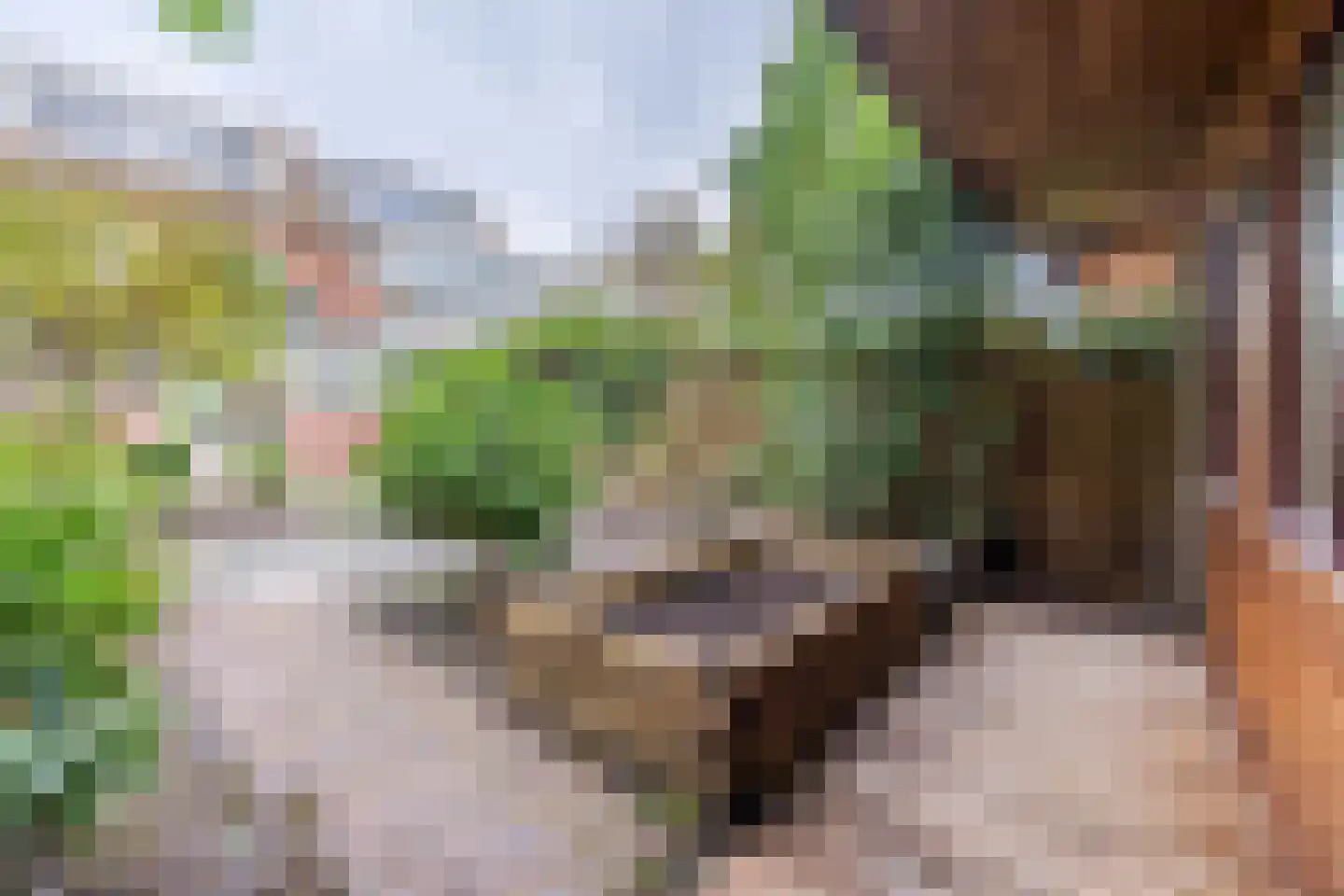 Marelaan 33 Oegstgeest thumbnail 24