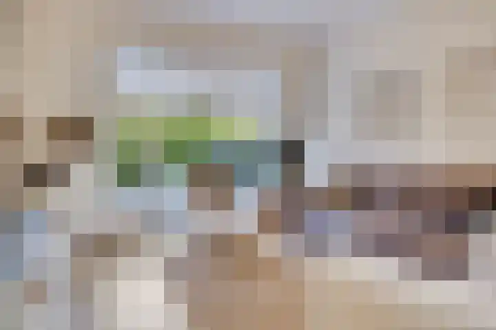 Marelaan 40 Oegstgeest thumbnail 10