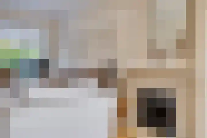 Marelaan 40 Oegstgeest thumbnail 14