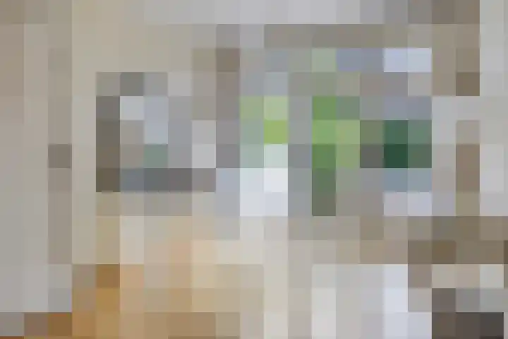 Marelaan 40 Oegstgeest thumbnail 16