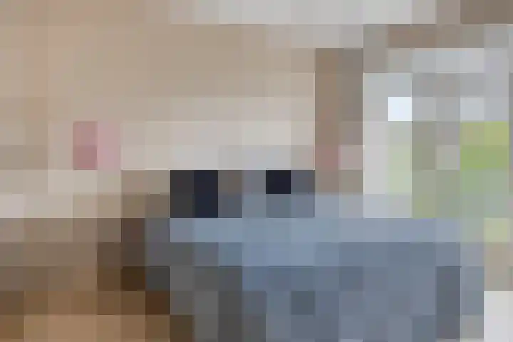 Marelaan 40 Oegstgeest thumbnail 37