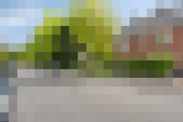 Marelaan 40 Oegstgeest thumbnail 4