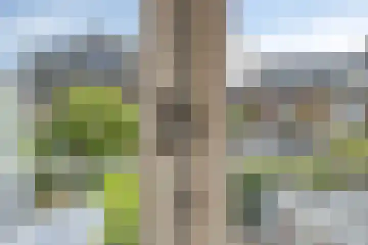 Marelaan 40 Oegstgeest thumbnail 41