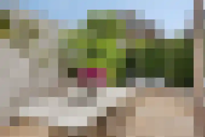 Marelaan 40 Oegstgeest thumbnail 67