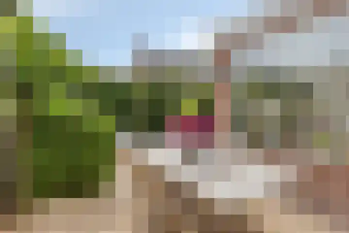 Marelaan 40 Oegstgeest thumbnail 68