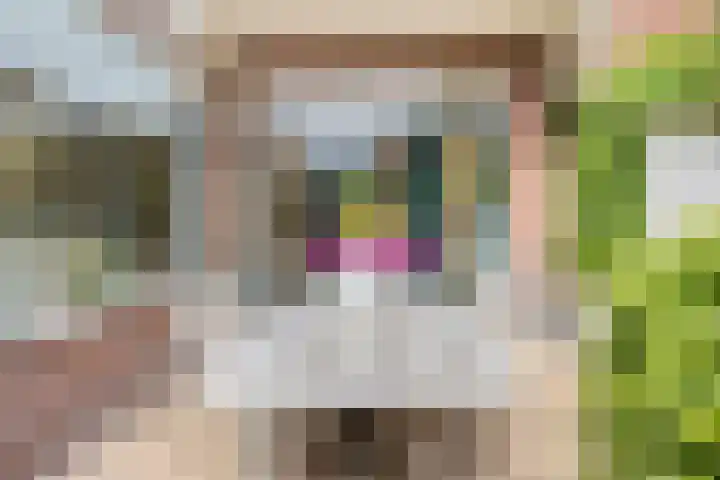 Marelaan 40 Oegstgeest thumbnail 69