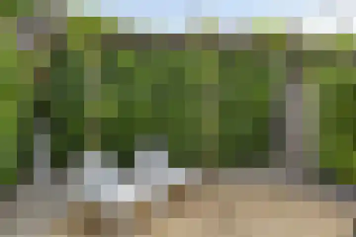 Marelaan 40 Oegstgeest thumbnail 72