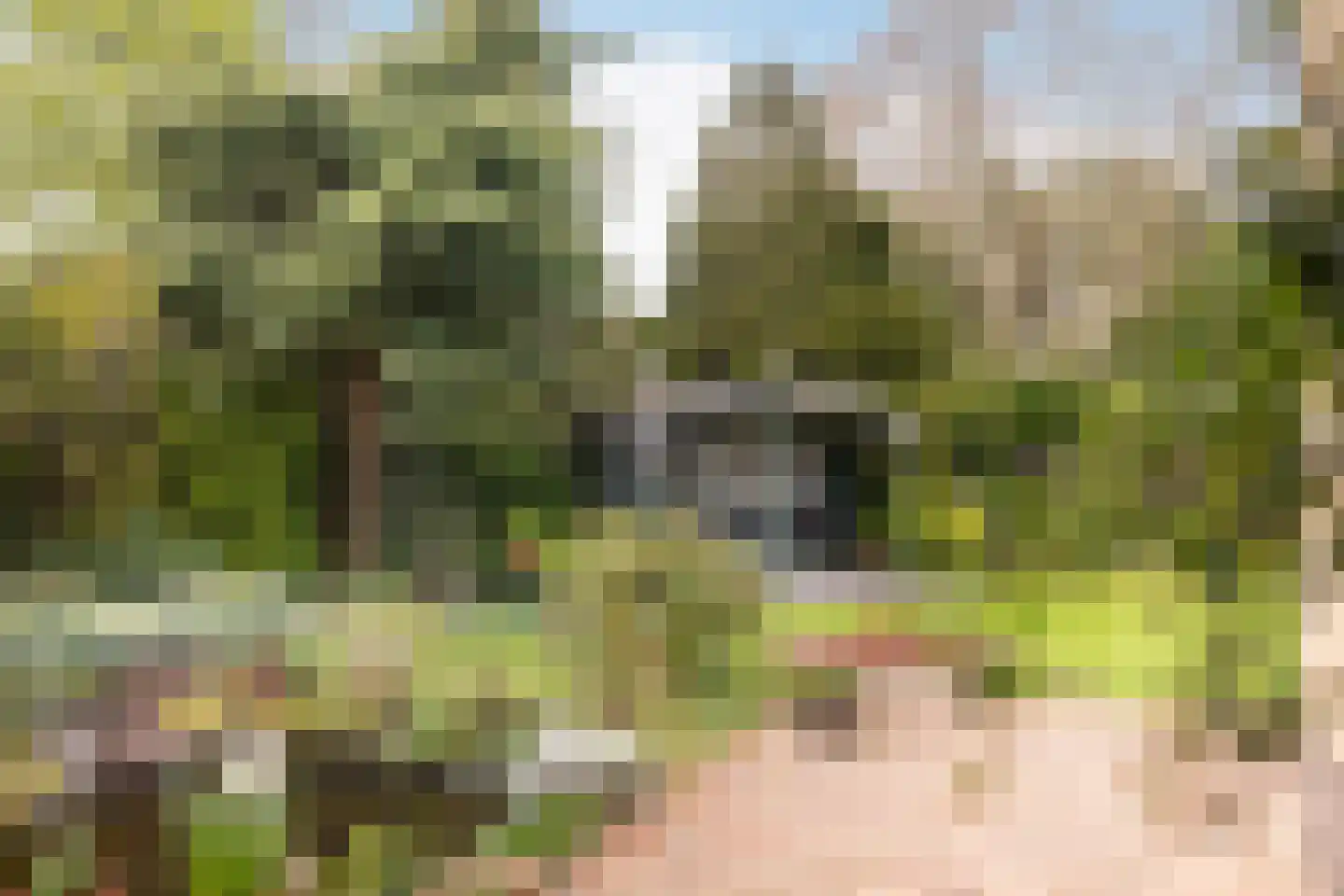Marelaan 51 De Meern thumbnail 28