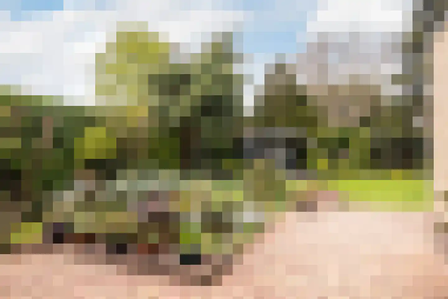Marelaan 51 De Meern thumbnail 29
