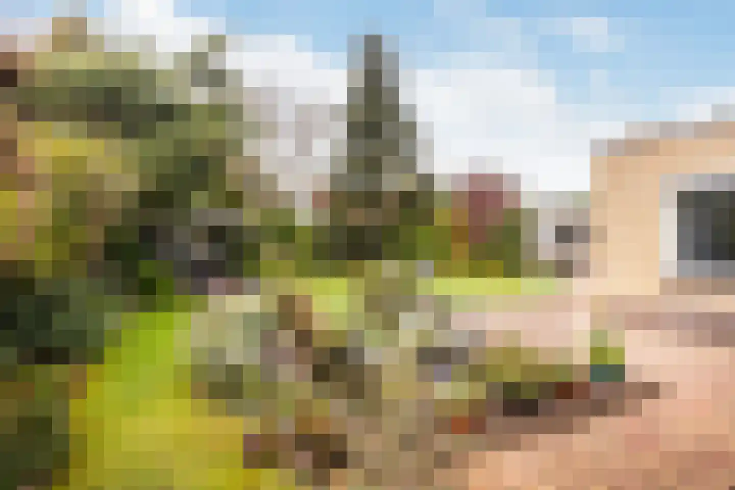 Marelaan 51 De Meern thumbnail 42