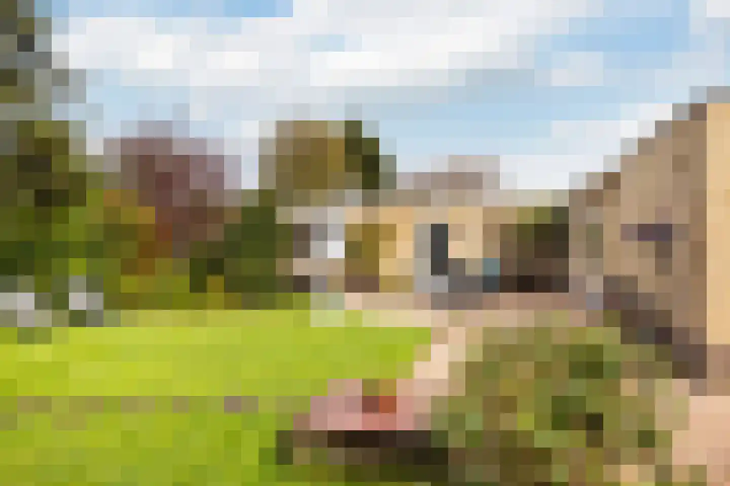 Marelaan 51 De Meern thumbnail 44