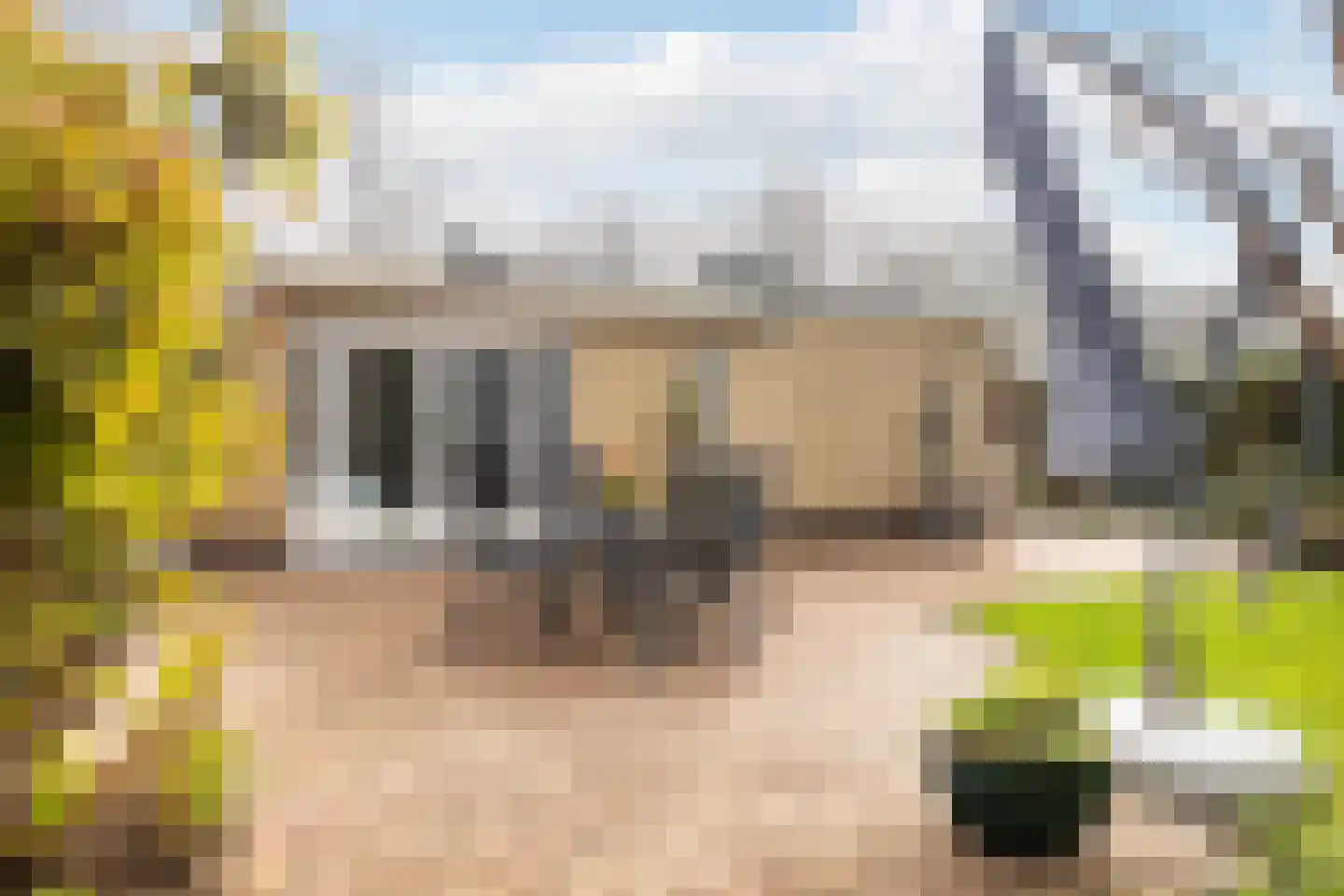 Marelaan 51 De Meern thumbnail 48