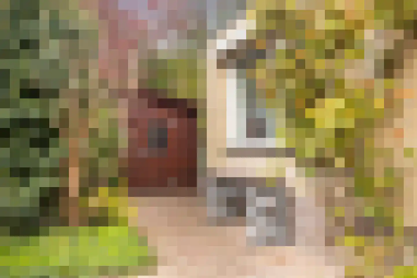 Marelaan 51 De Meern thumbnail 50
