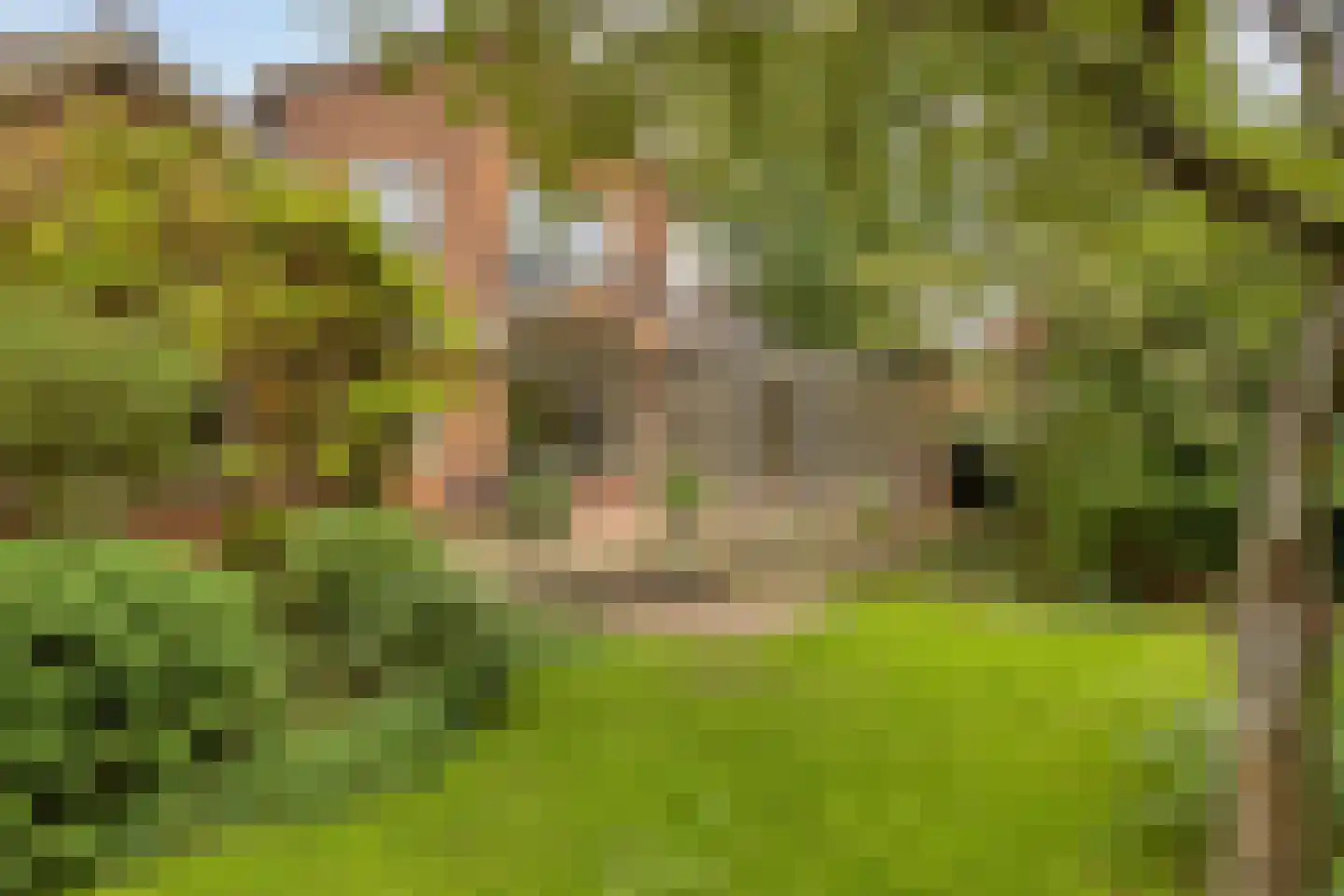 Marelaan 52 Oegstgeest thumbnail 38
