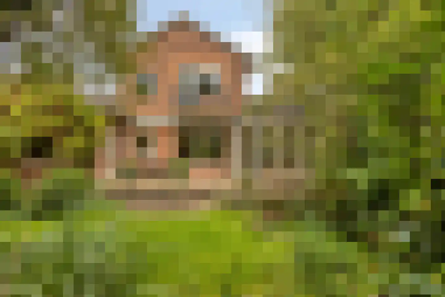 Marelaan 52 Oegstgeest thumbnail 39