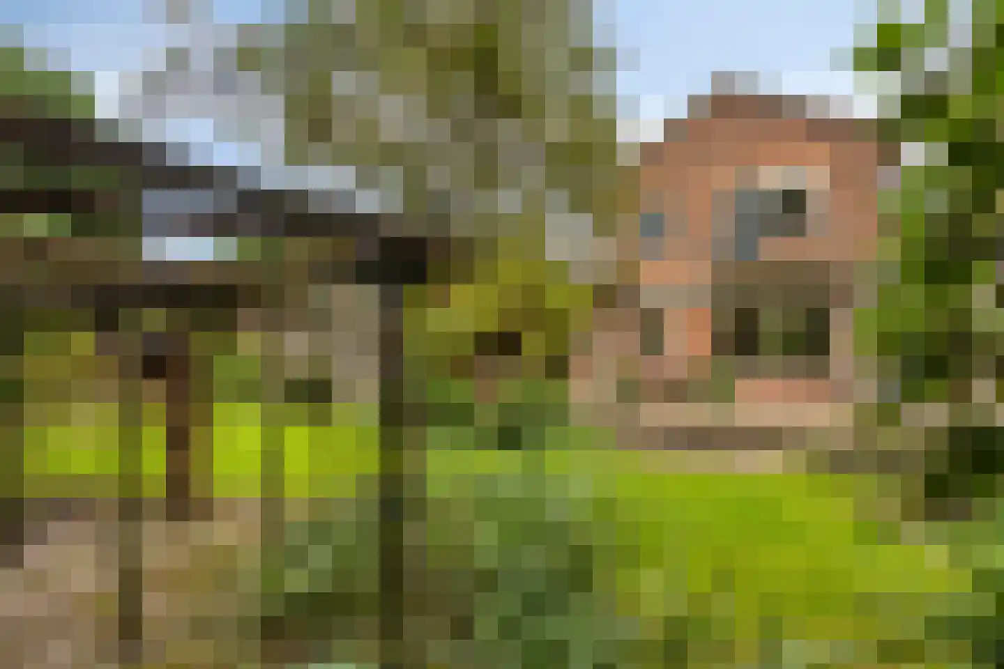Marelaan 52 Oegstgeest thumbnail 40