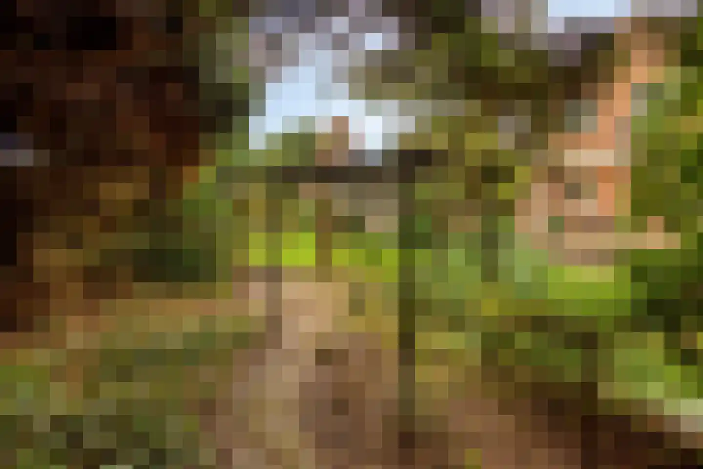 Marelaan 52 Oegstgeest thumbnail 41