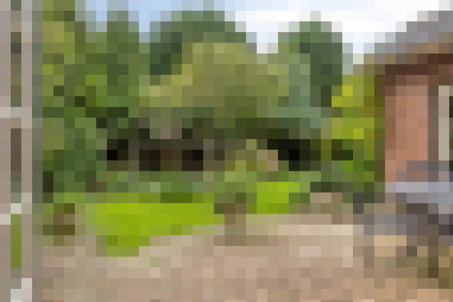 Marelaan 52 Oegstgeest thumbnail 44