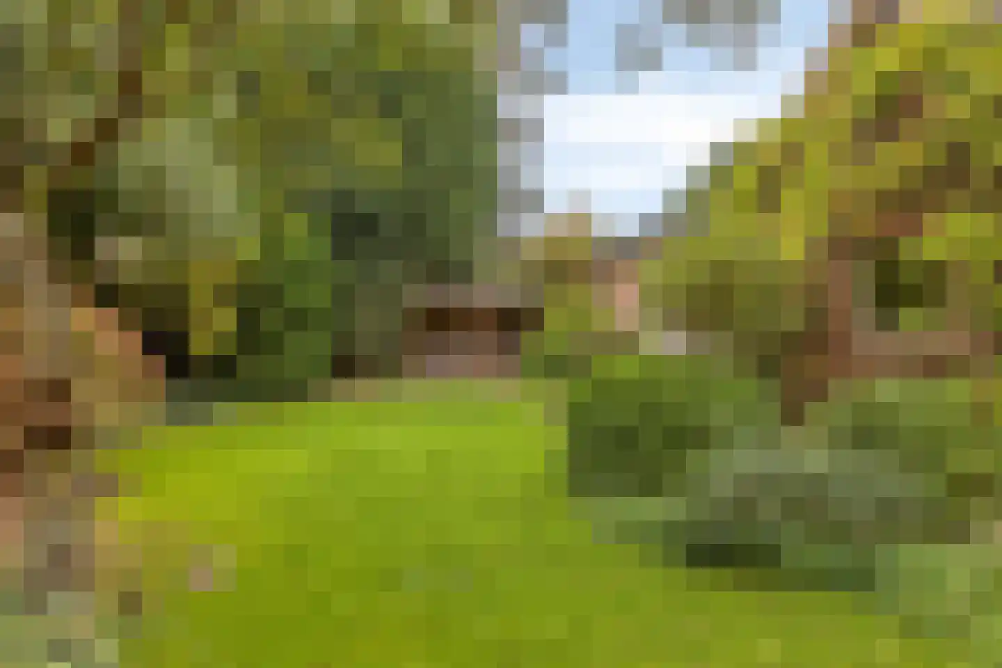 Marelaan 52 Oegstgeest thumbnail 45