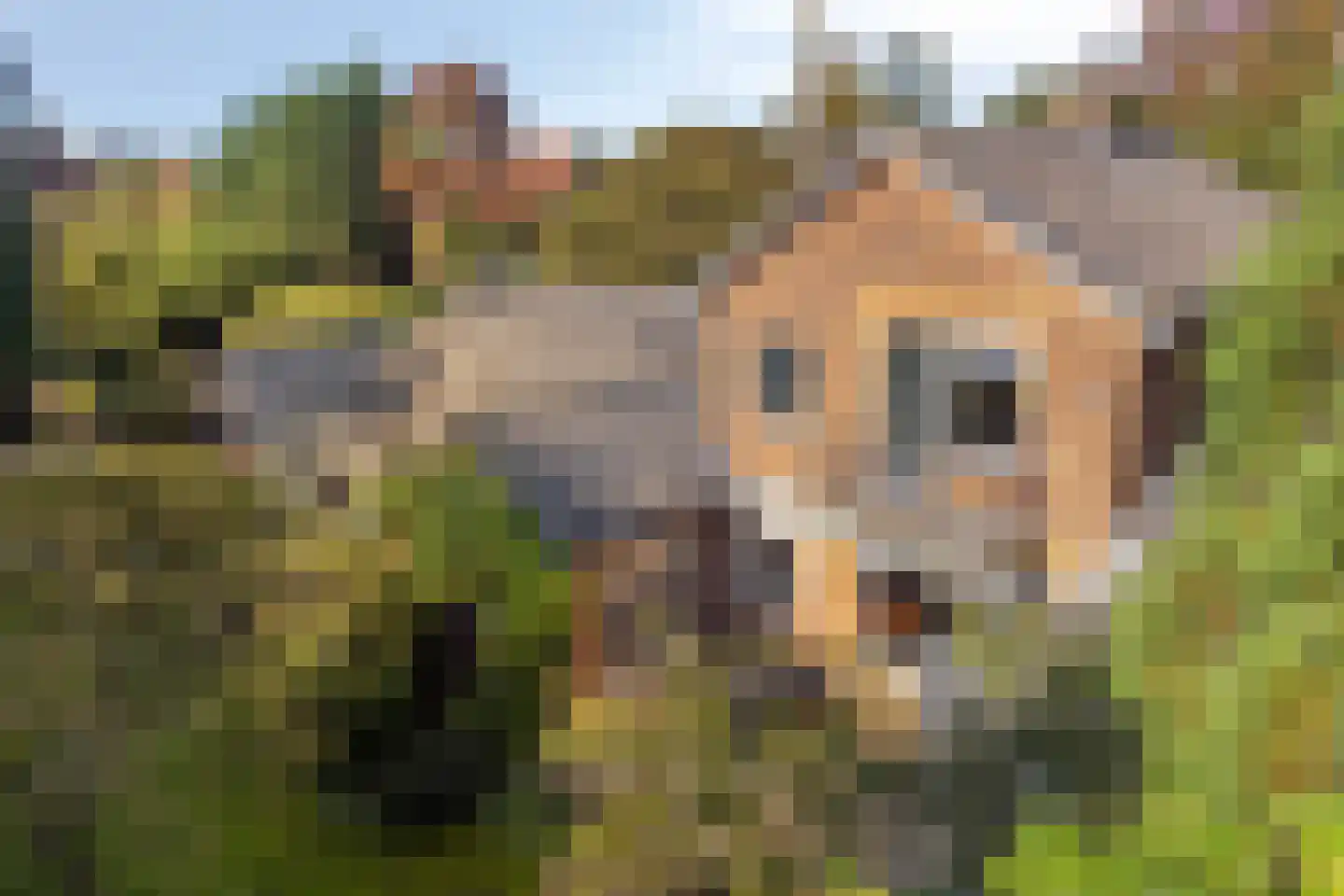 Marelaan 52 Oegstgeest thumbnail 54