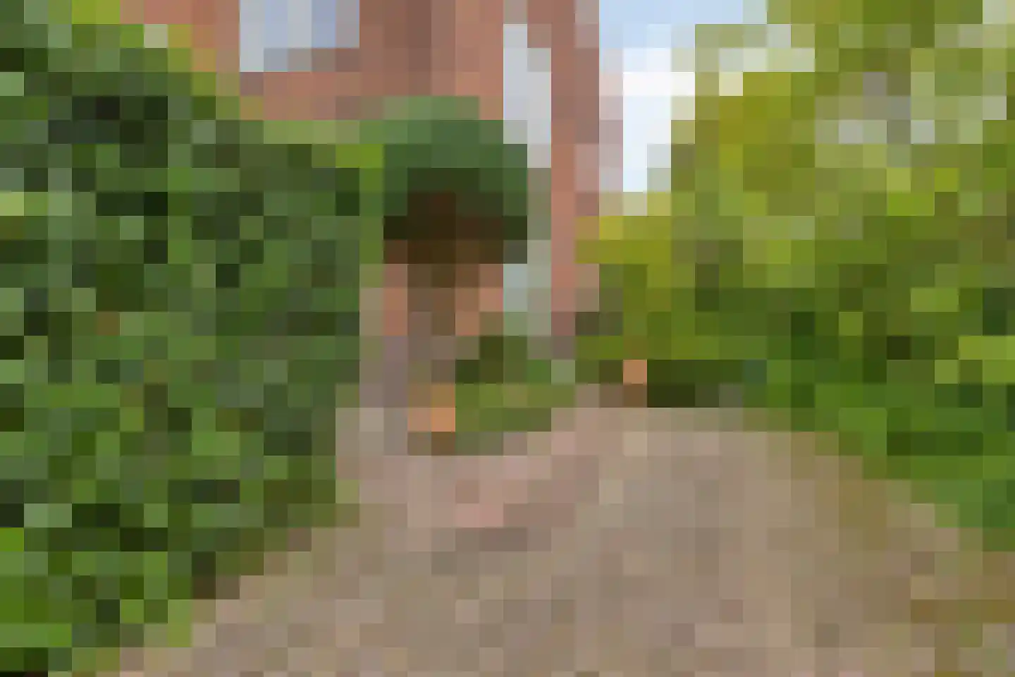 Marelaan 57 Oegstgeest thumbnail 12