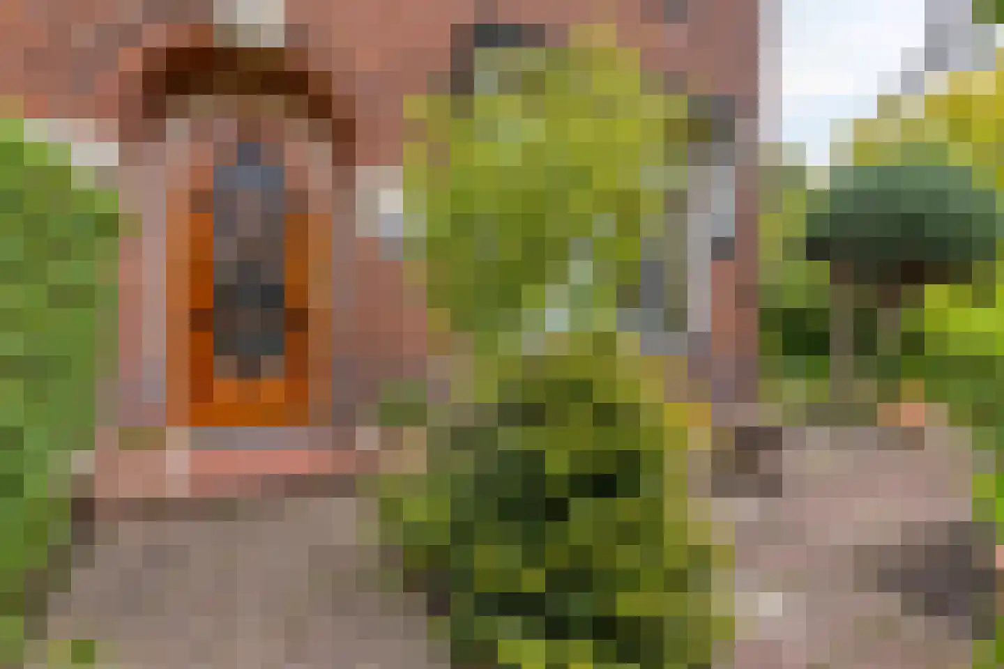 Marelaan 57 Oegstgeest thumbnail 14