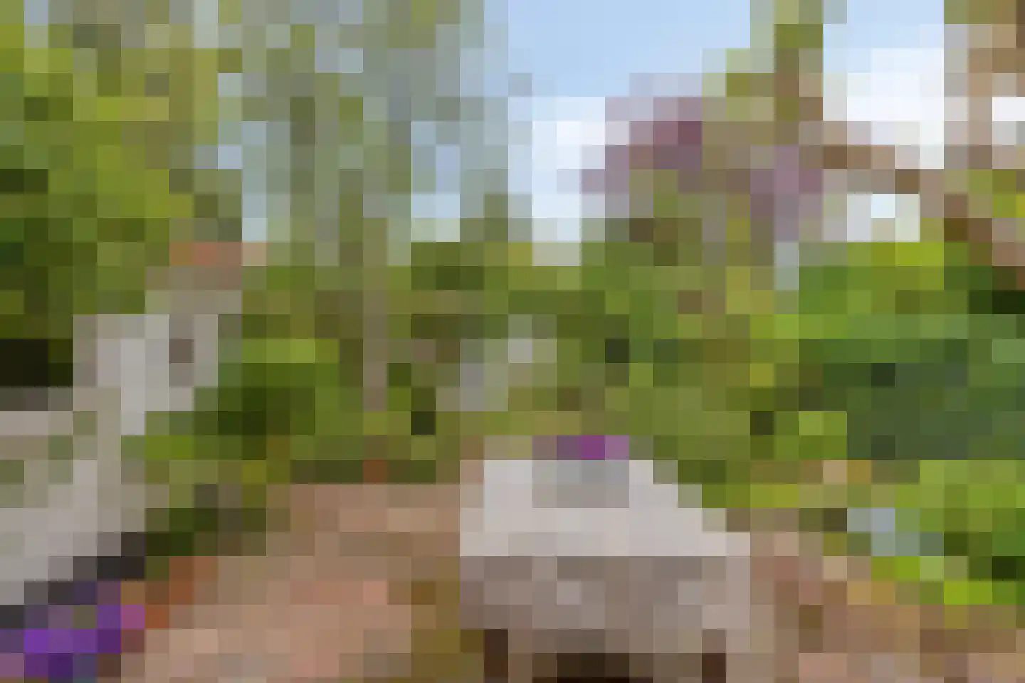 Marelaan 57 Oegstgeest thumbnail 42