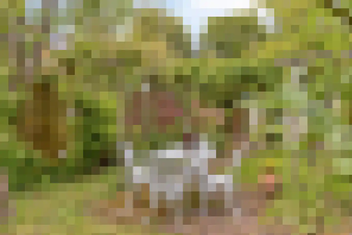 Marelaan 57 Oegstgeest thumbnail 44