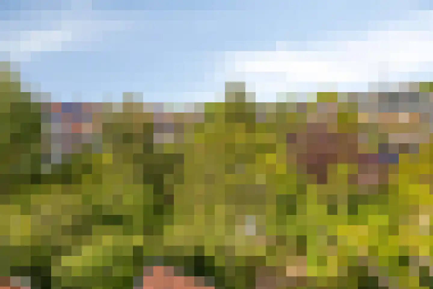 Marelaan 57 Oegstgeest thumbnail 46