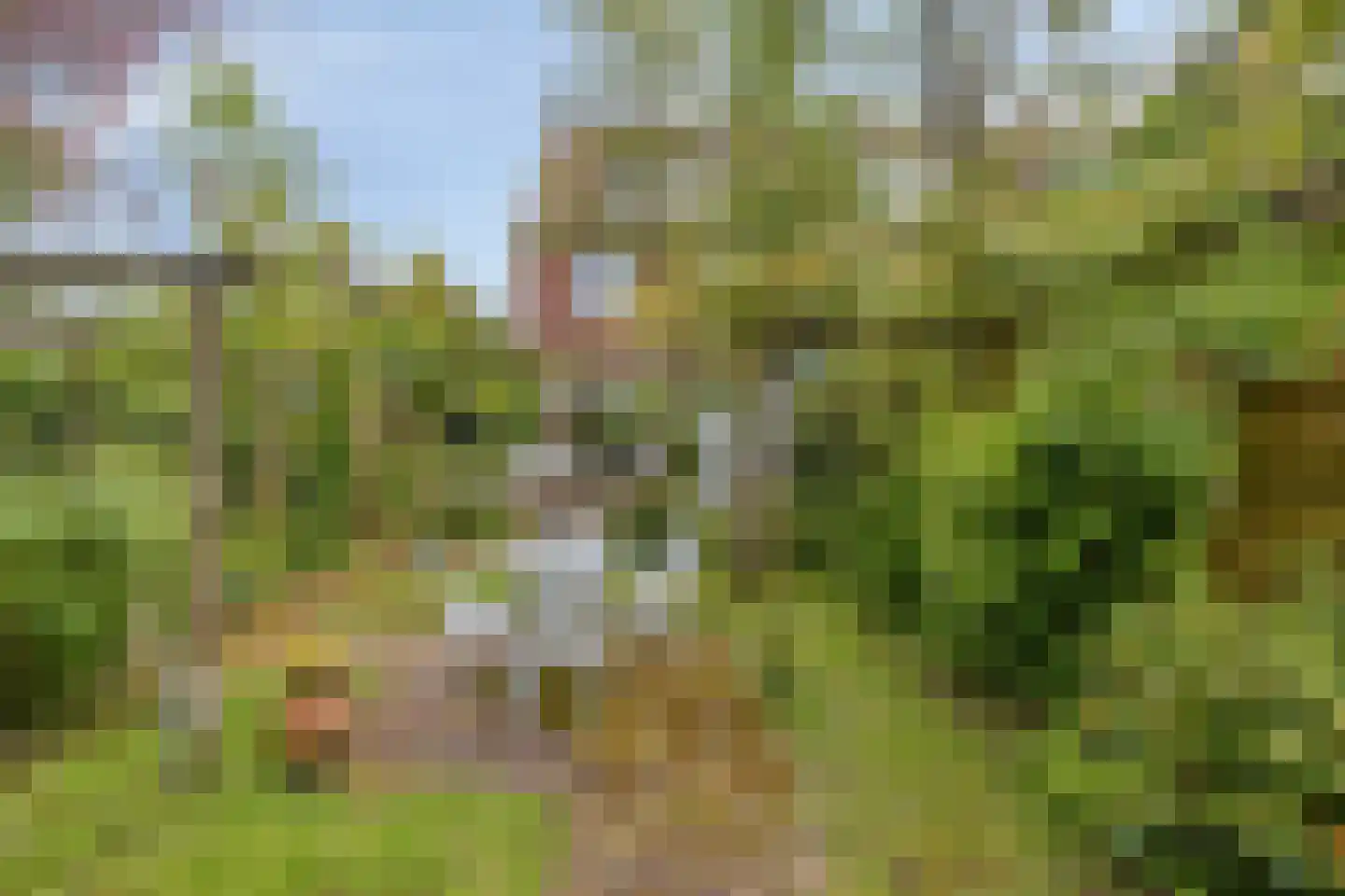 Marelaan 57 Oegstgeest thumbnail 6