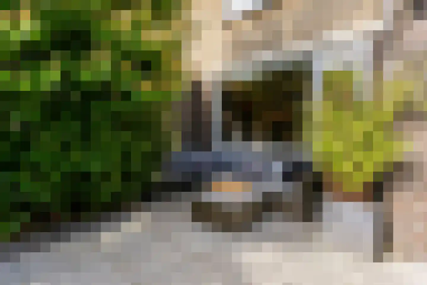 Marelaan 58 De Meern thumbnail 24