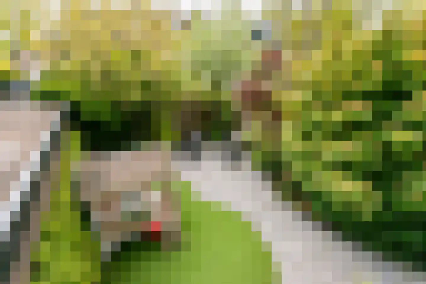 Marelaan 58 De Meern thumbnail 42
