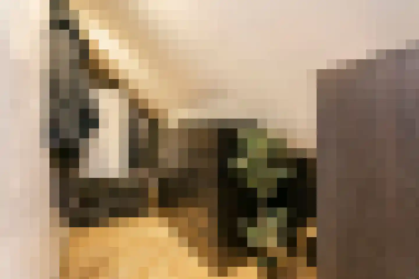 Marelaan 58 De Meern thumbnail 47