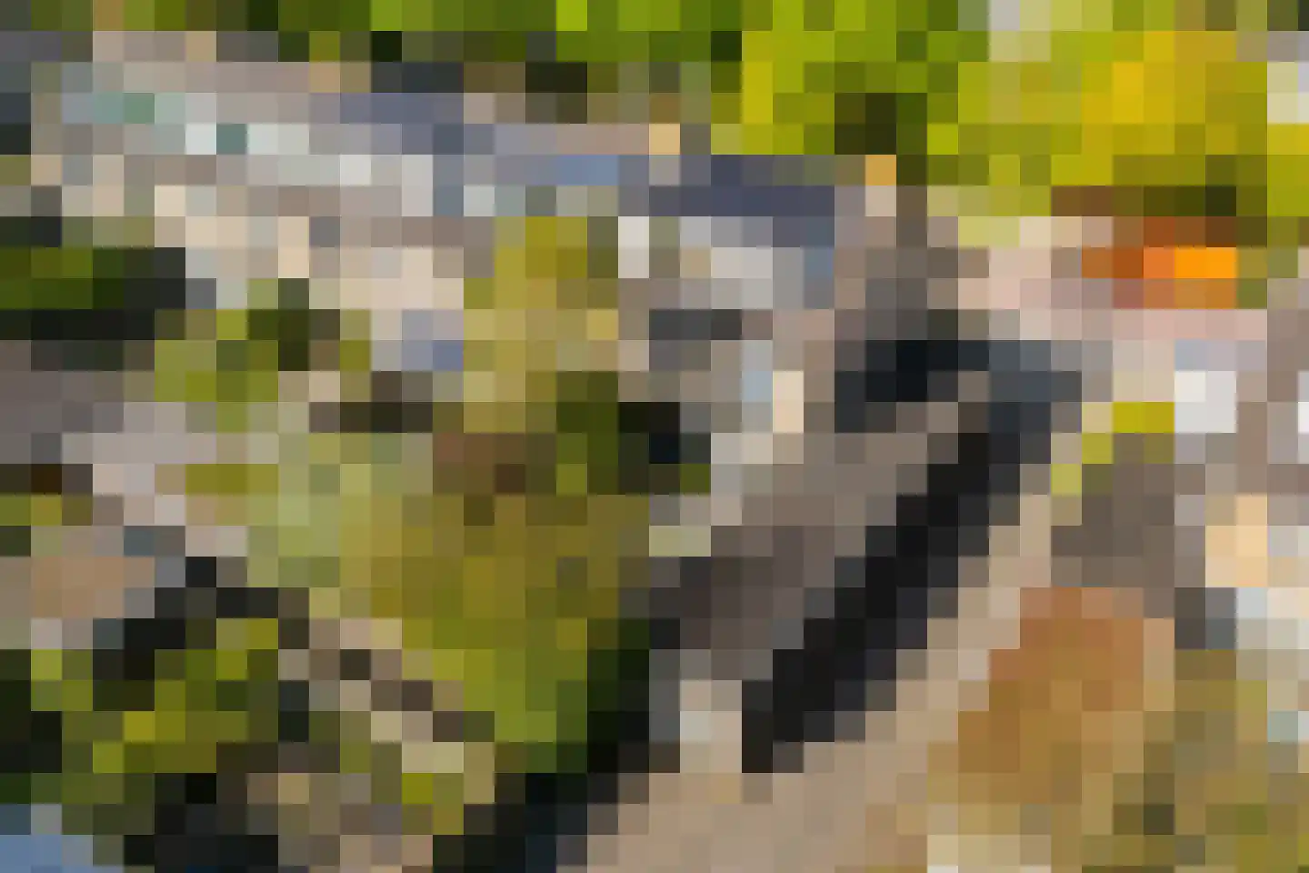 Marelaan 58 De Meern thumbnail 58
