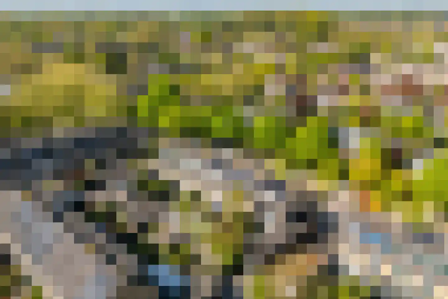Marelaan 58 De Meern thumbnail 61