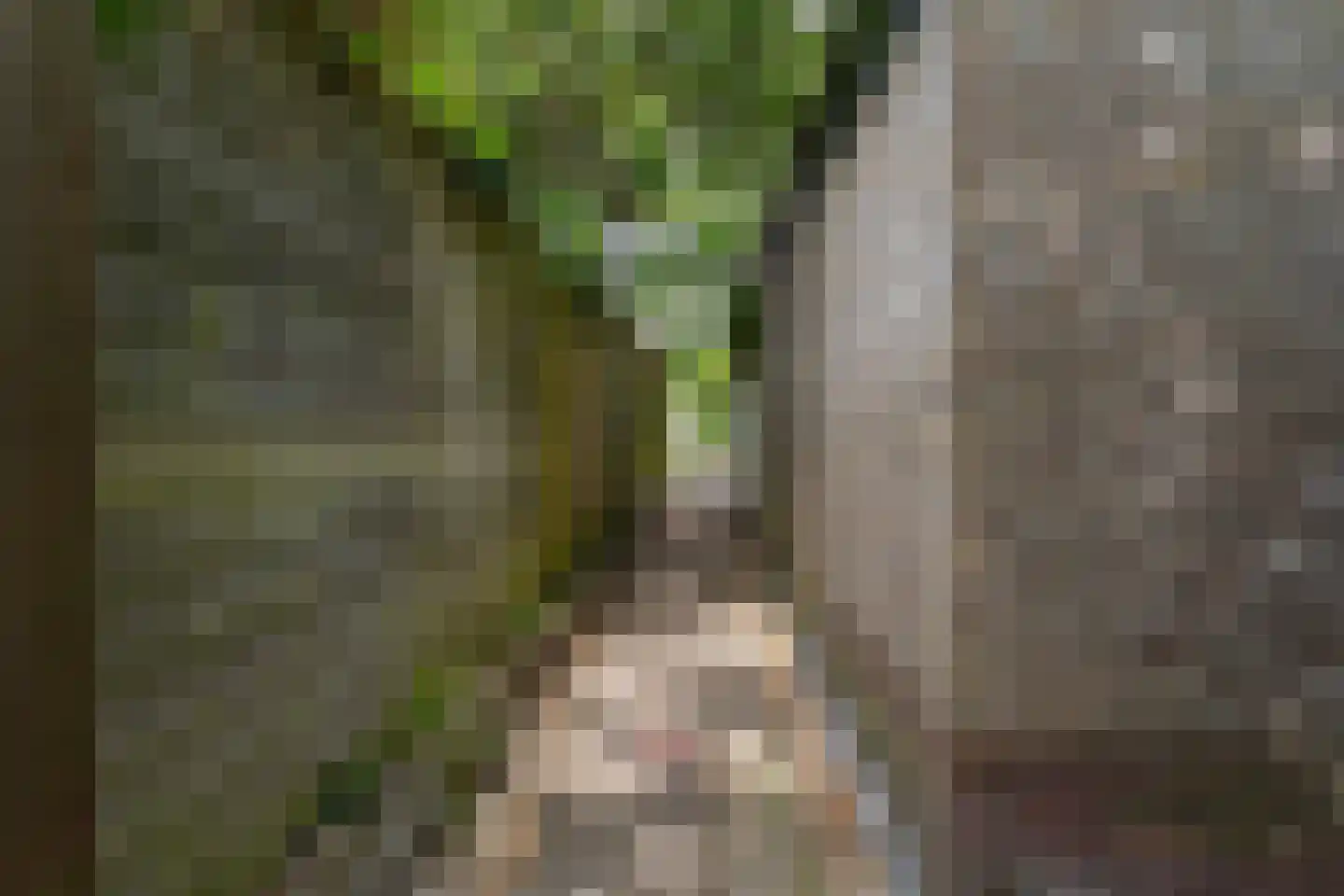 Marelaan 7 Oegstgeest thumbnail 47
