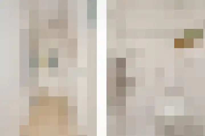Marelaan 70 De Meern thumbnail 18