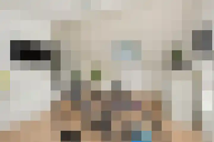 Marelaan 70 De Meern thumbnail 32