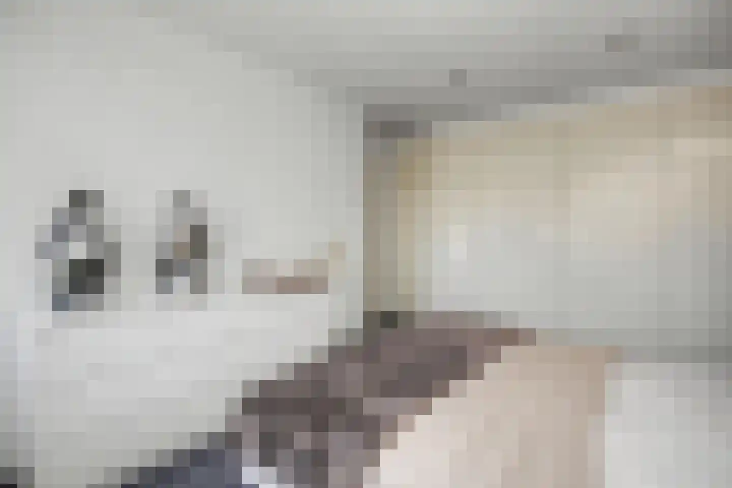 Marelaan 78 De Meern thumbnail 13