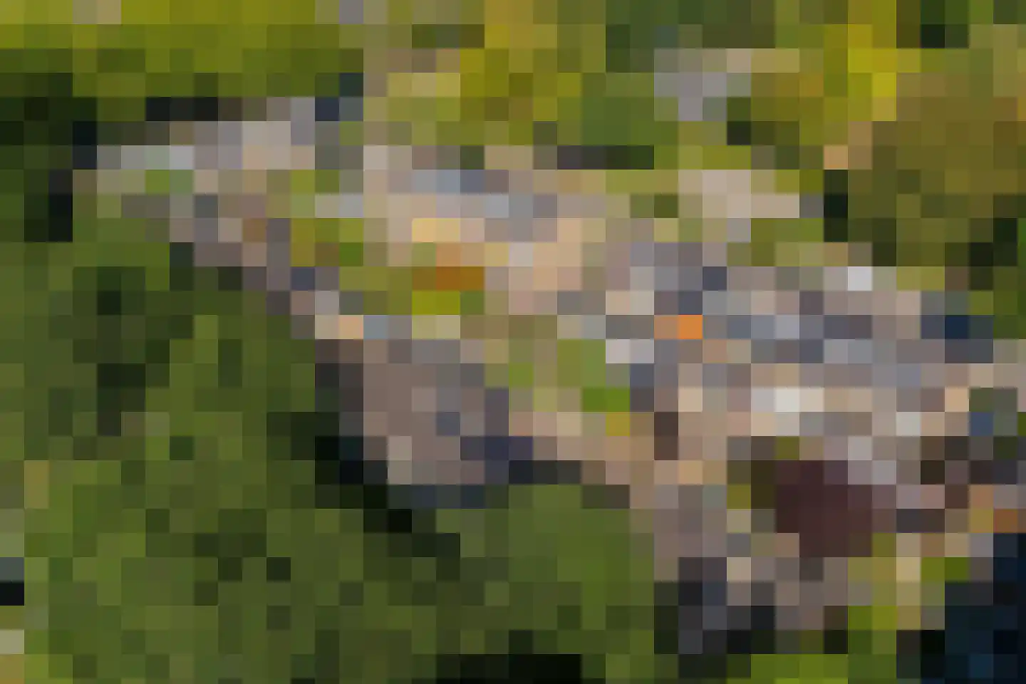 Marelaan 78 De Meern thumbnail 32
