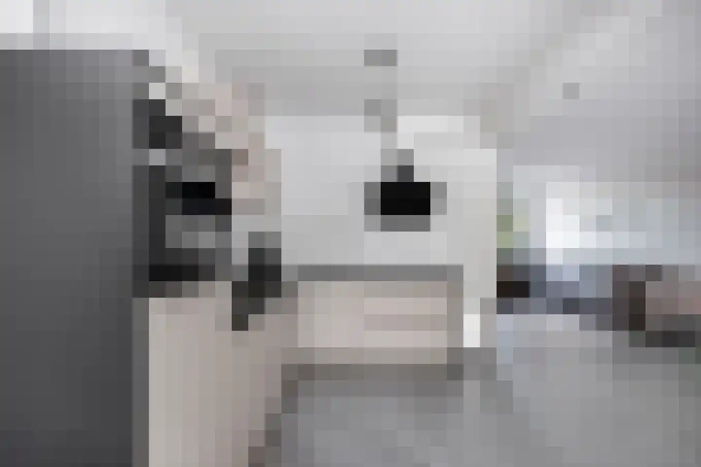 Marelaan 90 De Meern thumbnail 13