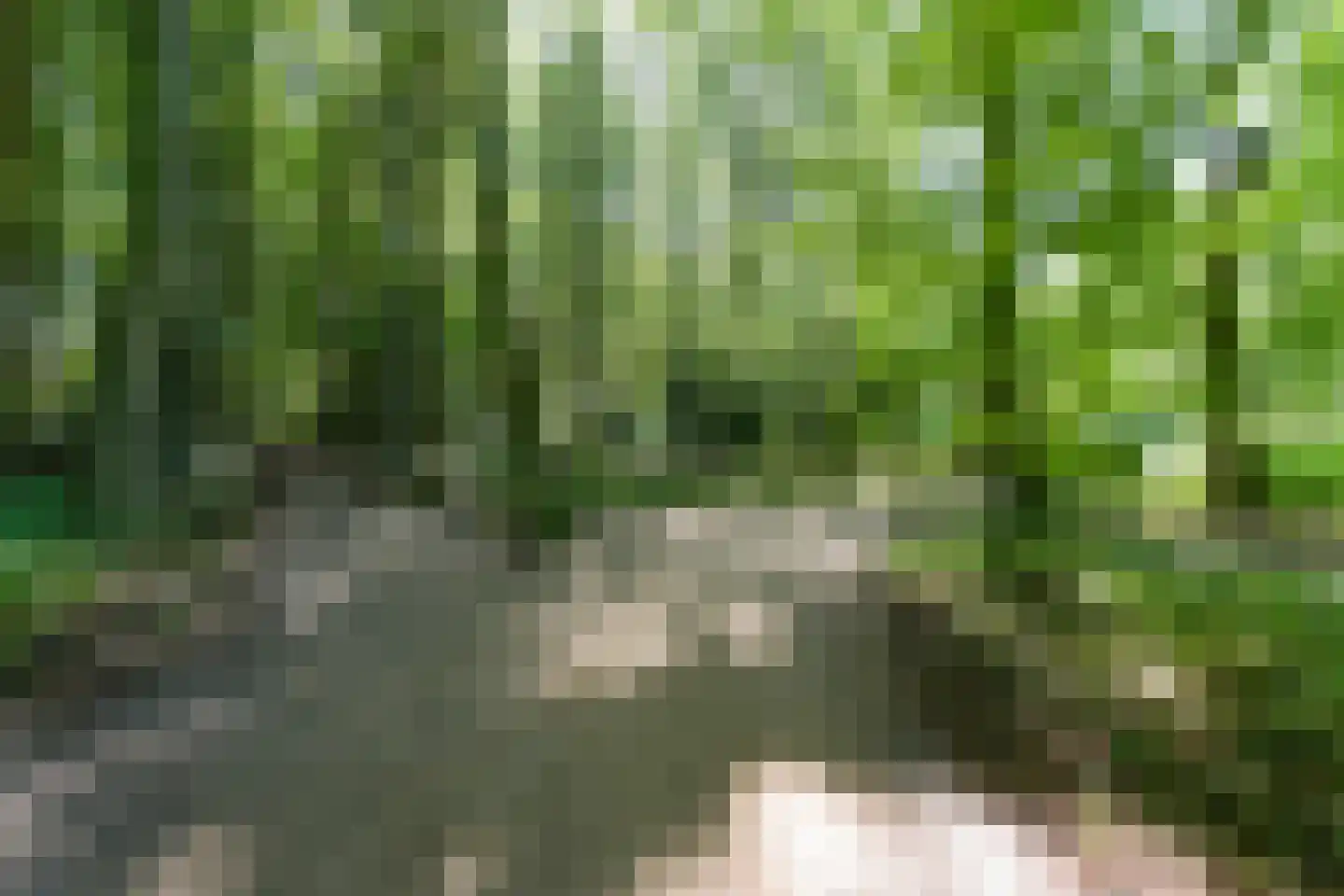 Marelaan Oegstgeest thumbnail 14
