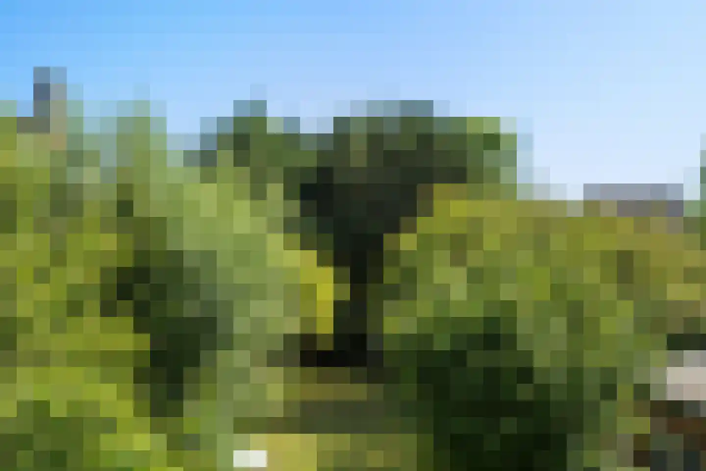 Marelaan Oegstgeest thumbnail 5