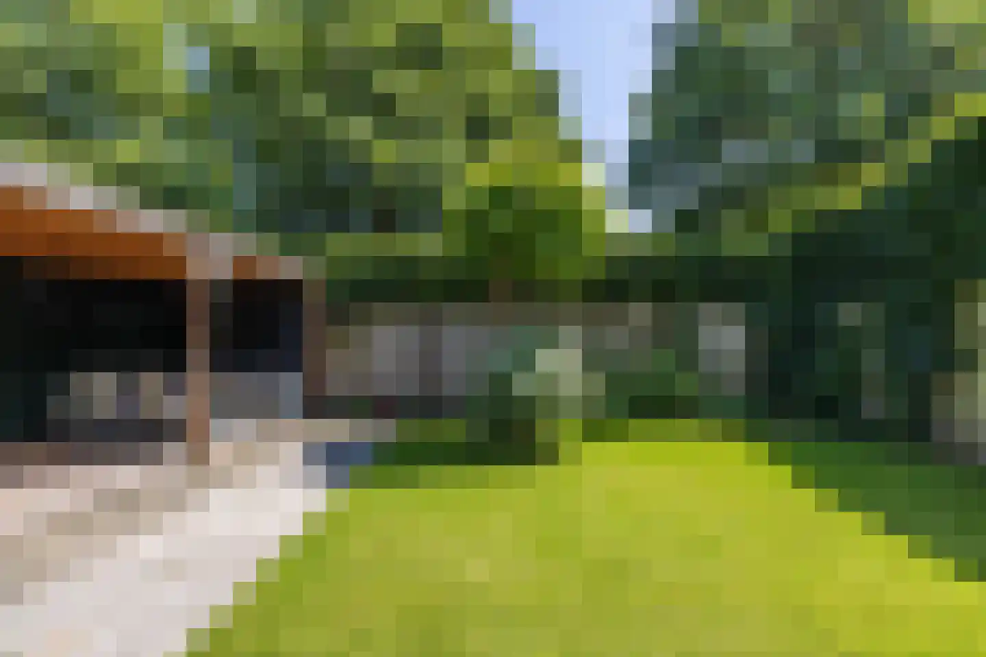 Marellaan 22 Hillegom thumbnail 41