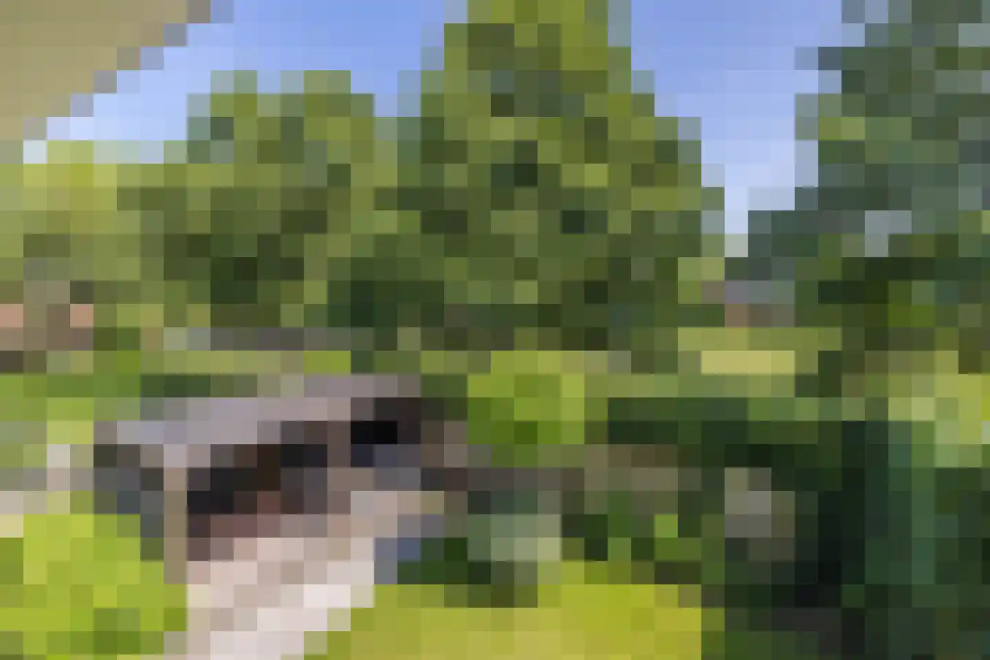 Marellaan 22 Hillegom thumbnail 45